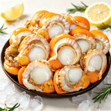 Scallop Meat